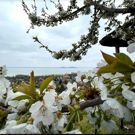 Panorama Apartmanhaz * Badacsonytomaj