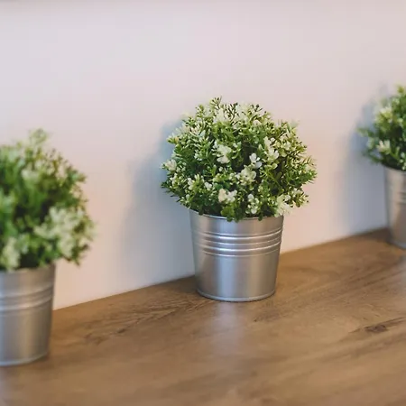 Panorama Apartmanhaz * Badacsonytomaj