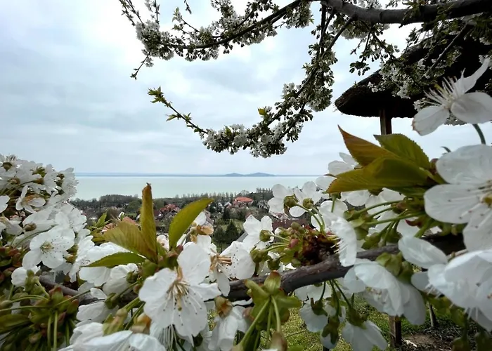 Panorama Apartmanhaz * Badacsonytomaj